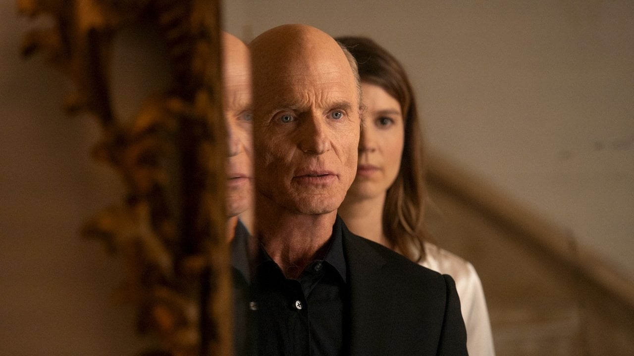 Westworld {se_code} w bazie Vider Online