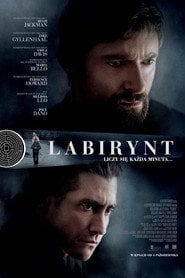 Labirynt Cały Film (2013) Online - Filman